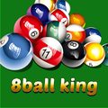 8 Pool King