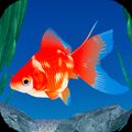 Goldfish 3D Relaxing Aquarium