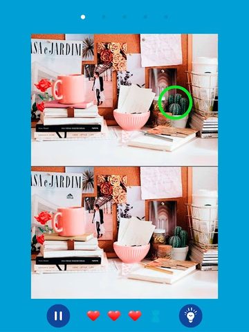 Screenshot 17: Find the differences 2021