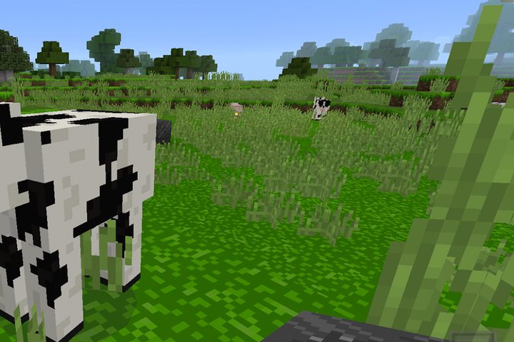 Screenshot 6: Minicraft 2020