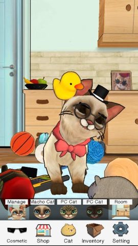 Screenshot 3: Macho Cat