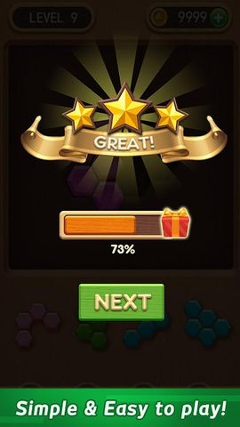 Screenshot 4: Wood Block Puzzle - Hexa