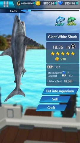 Screenshot 15: Fishing Championship