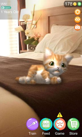 Screenshot 12: AR Cat