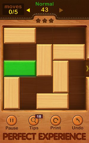 Screenshot 15: Unblock Puzzle