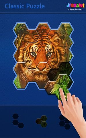 Screenshot 12: Jigsaw Puzzle - Hexa Block Puzzle