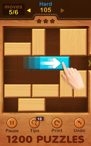 Screenshot 12: Unblock Puzzle