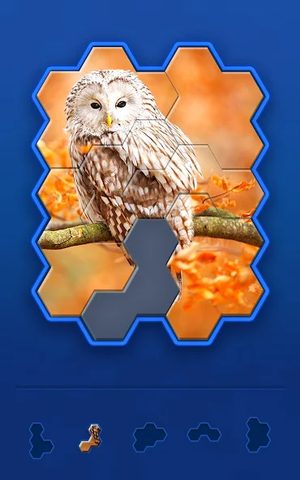 Screenshot 22: Hexa Jigsaw Challenge