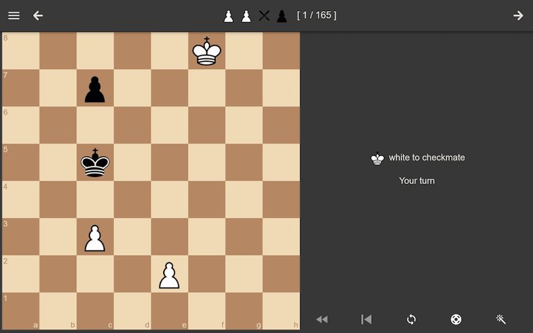Screenshot 22: Chess Endgame Training