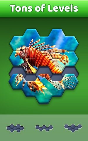 Screenshot 2: Hexa Jigsaw Puzzle ®