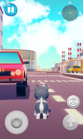 Screenshot 5: Talking Husky Dog