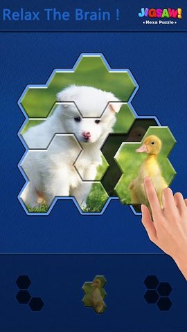 Screenshot 3: Jigsaw Puzzle - Hexa Block Puzzle