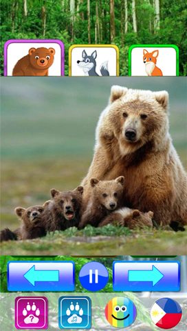 Screenshot 6: Animal sounds. Learn animals names for kids