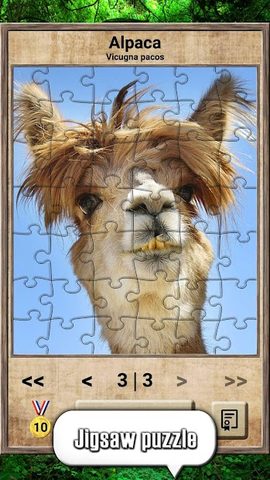 Screenshot 23: Animal Kingdom - Quiz Game