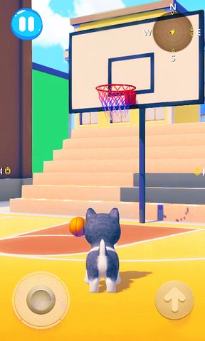 Screenshot 4: Talking Husky Dog