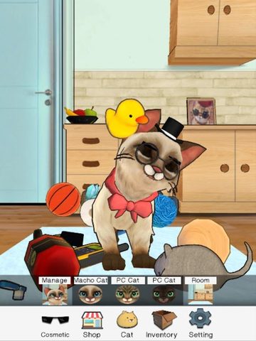 Screenshot 11: Macho Cat