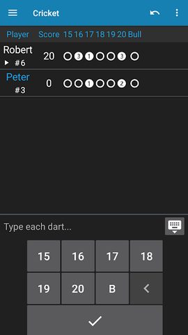 Screenshot 8: Darts Scorer