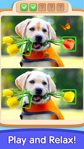 Screenshot 23: Can You Spot It: Differences
