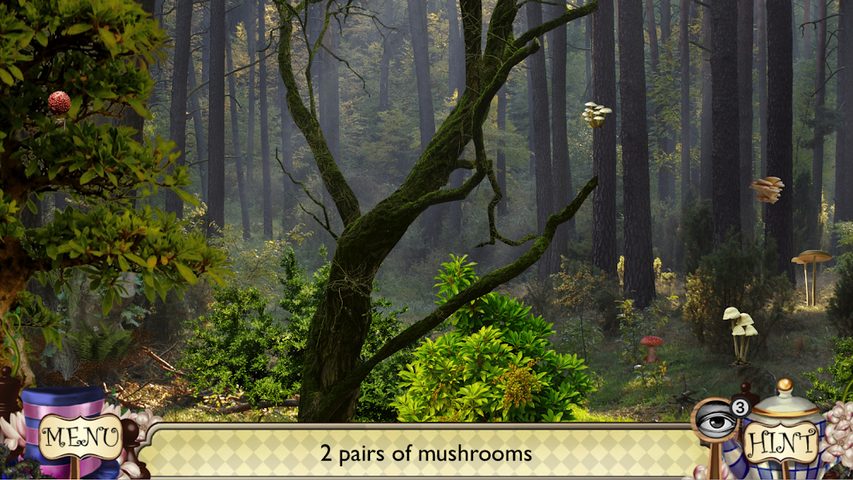 Screenshot 14: Alice Through the Looking Glass: Find Hidden Items