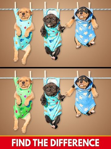 Screenshot 10: Find The Differences - Spot it