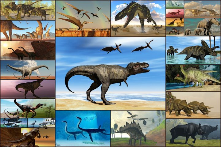 Screenshot 11: Dinosaurs Jigsaw Puzzles Game - Kids & Adults