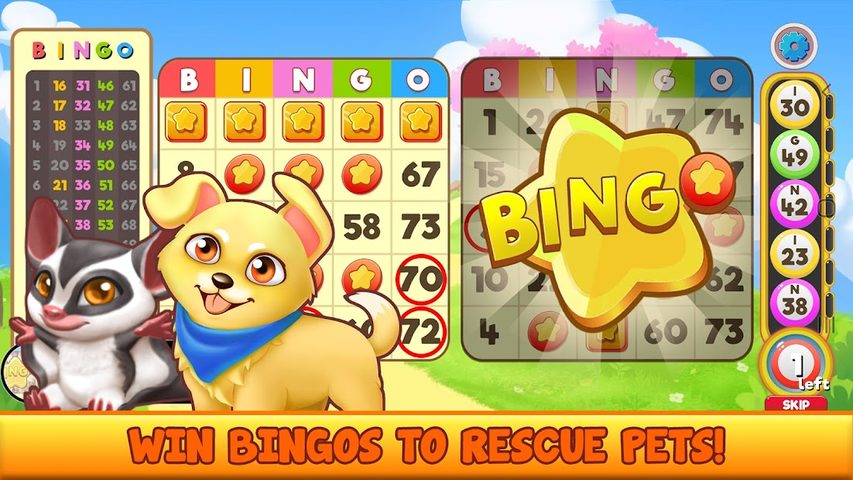 Screenshot 4: Bingo Pet Rescue