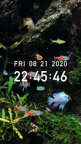 Screenshot 6: Tropical Fish Tank - Mini Aqua