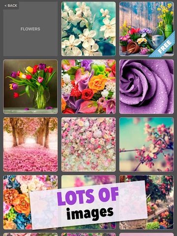 Screenshot 9: World of Puzzles - best free jigsaw puzzle games