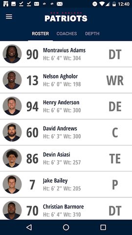 Screenshot 2: New England Patriots