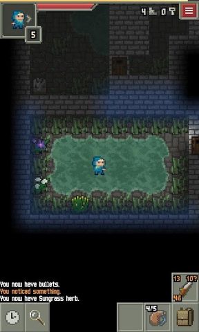 Screenshot 2: Yet Another Pixel Dungeon