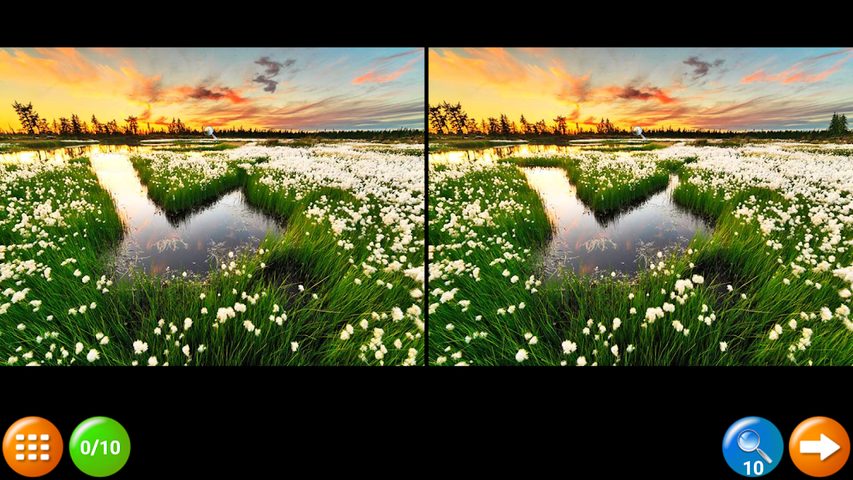 Screenshot 10: Find the Difference 200 lvls