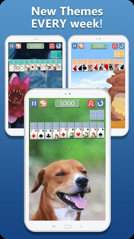 Screenshot 17: Spider Solitaire Deluxe® 2