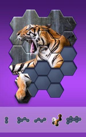 Screenshot 11: Hexa Jigsaw Puzzle ®