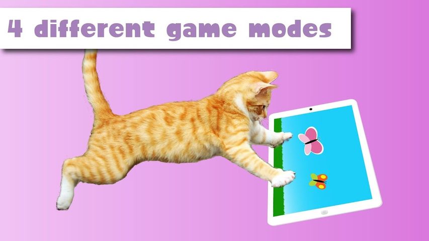 Screenshot 3: HappyCats games for cats