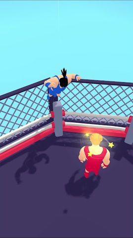 Screenshot 9: Superfly Splash: Wrestling