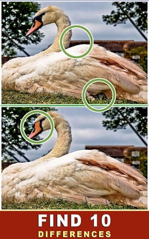 Screenshot 19: Find The Difference - Spot It Game