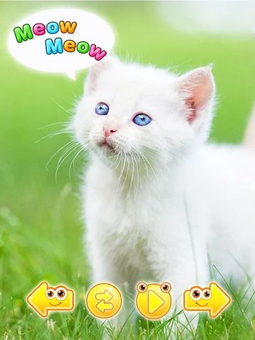 Screenshot 17: Cute animal pictures & animal