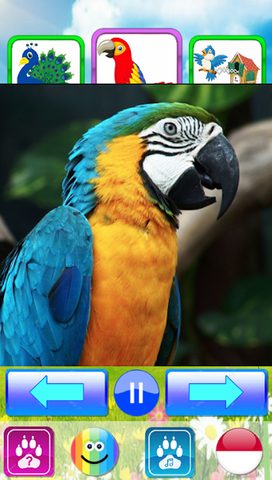Screenshot 24: Animal sounds. Learn animals names for kids