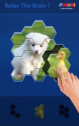 Screenshot 13: Jigsaw Puzzle - Hexa Block Puzzle