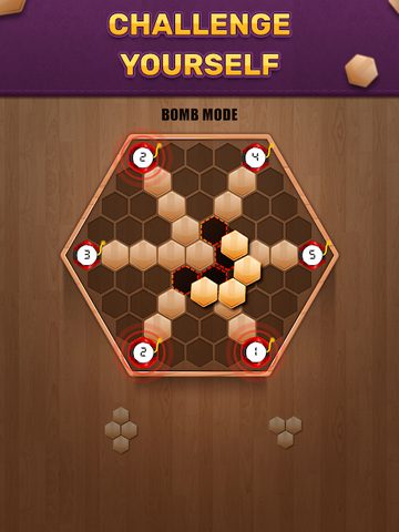 Screenshot 10: Wooden 100 Block Puzzle Game