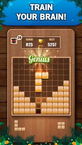 Screenshot 13: Wooden 100 Block Puzzle Game