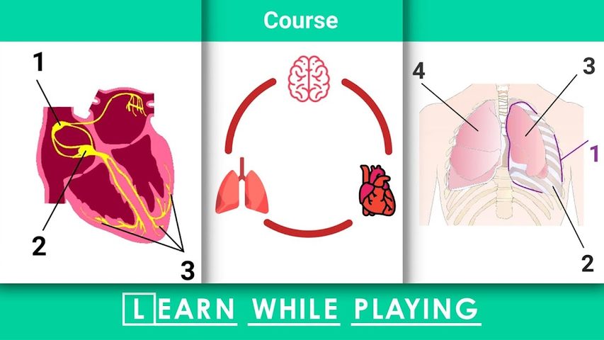 Screenshot 6: Doctor 911 Hospital Simulator
