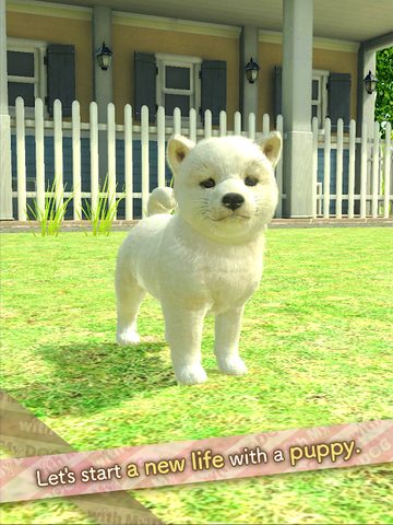 Screenshot 17: with My DOG