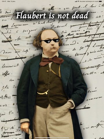 Screenshot 5: Flaubert is not dead