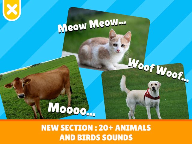 Screenshot 13: Flashcards Toddler Games for 2 and 3 Year Olds