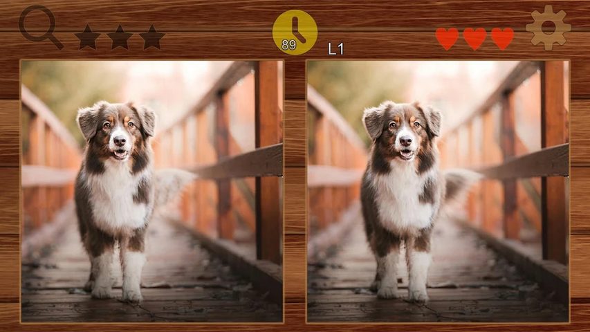 Screenshot 6: Find Different?