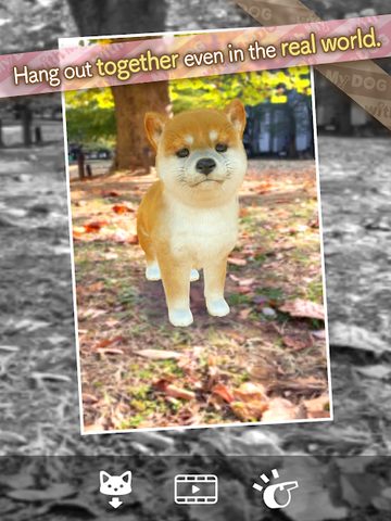 Screenshot 24: with My DOG