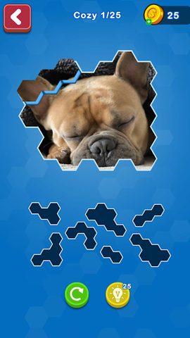 Screenshot 4: Hexa Puzzle Jigsaw: Anime Collection