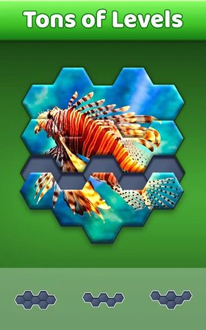 Screenshot 17: Hexa Jigsaw Puzzle ®