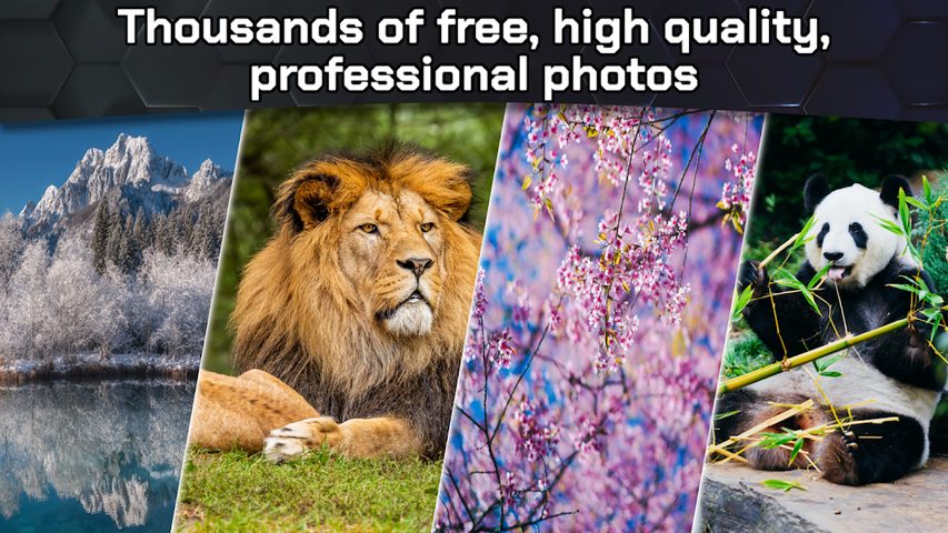 Screenshot 1: Jigsawnoi: Jigsaw puzzles redefined